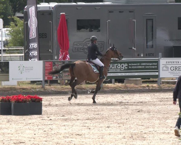 Reitturnier Langenfeld 2025
