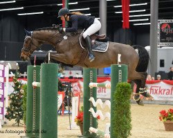 jumper Horse Gym's Chayton (Hanoverian, 2007, from Contendro I)