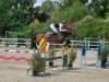 broodmare Horse Gym's Cornada (Bavarian, 2011, from Cornado NRW)