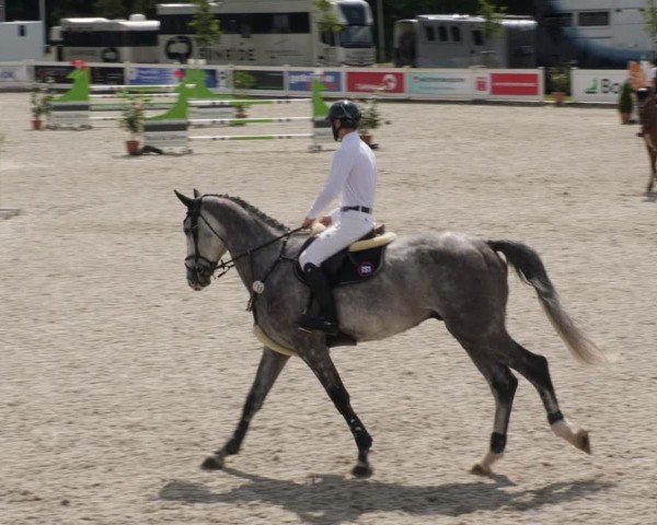 Reitturnier Babenhausen/Schw. 2025