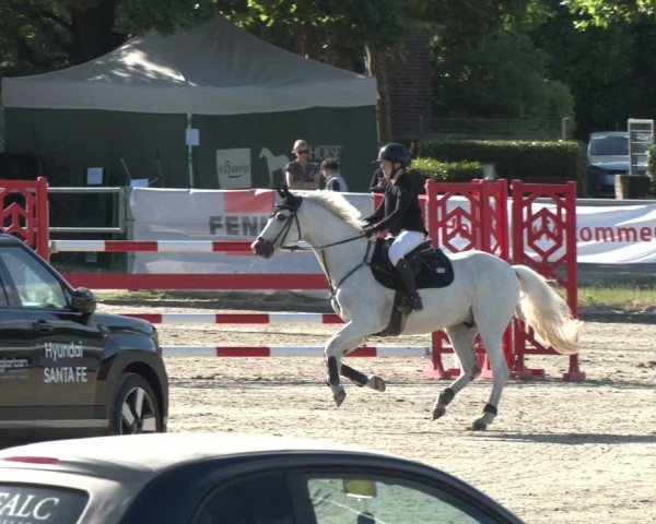 Reitturnier Langenfeld 2025