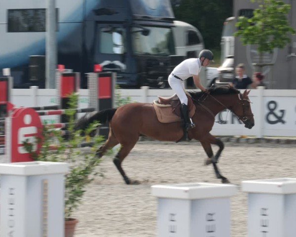 Reitturnier Babenhausen/Schw. 2025