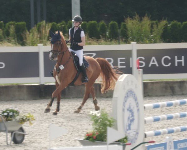 Reitturnier Babenhausen/Schw. 2025