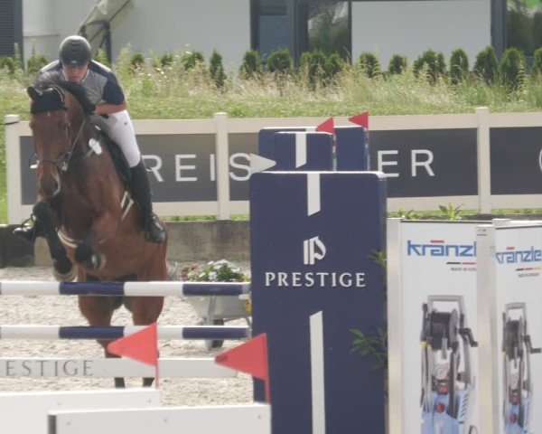 Reitturnier Babenhausen/Schw. 2025