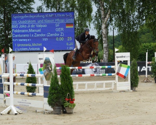 Springpferd Joko Ji de Valpao (Selle Français, 2019, von Canturano I)