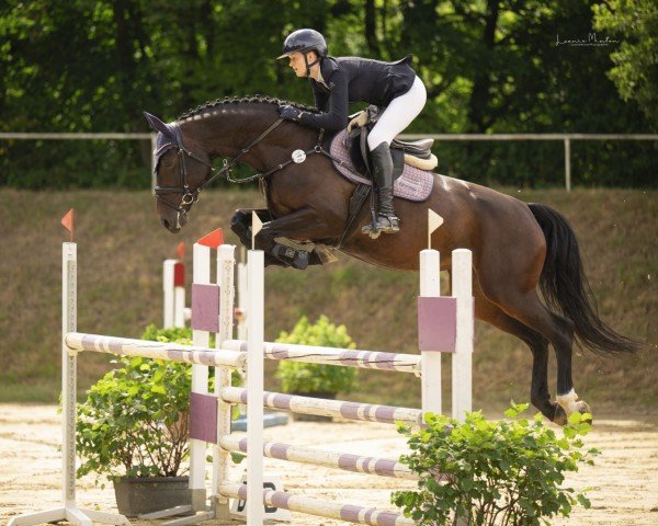 jumper Deliah BE (Rhinelander, 2019, from Diacontinus)