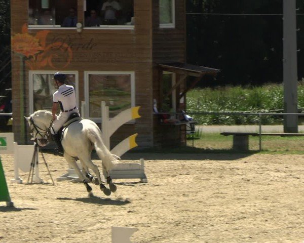 Reitturnier Bad Liebenstein/Sorga 2025