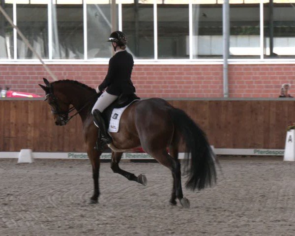 Reitturnier Langenfeld 2025