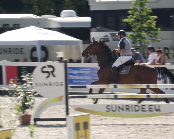 Reitturnier Babenhausen/Schw. 2025