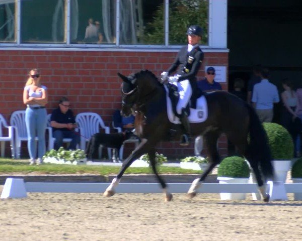 Reitturnier Langenfeld 2025