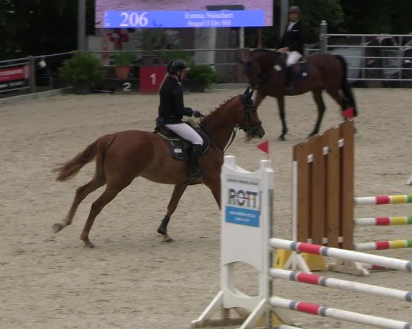 Reitturnier Uder, Reitanlage Kobold 2025