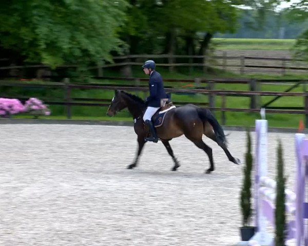 Klein Roscharden May Tour 2014