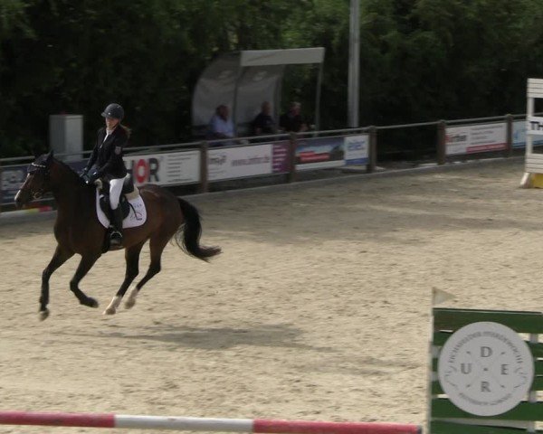 Reitturnier Uder, Reitanlage Kobold 2025