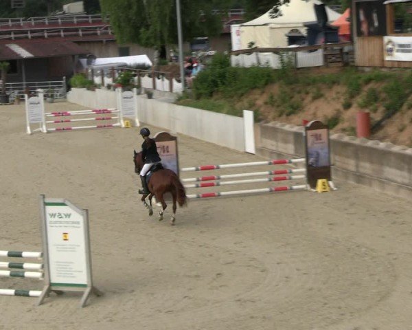 Reitturnier Uder, Reitanlage Kobold 2025
