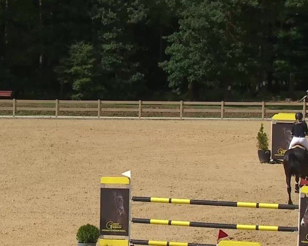 Reitturnier Tiefenhof/Opf. 2025