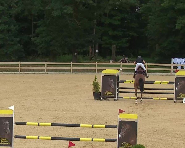 Reitturnier Tiefenhof/Opf. 2025