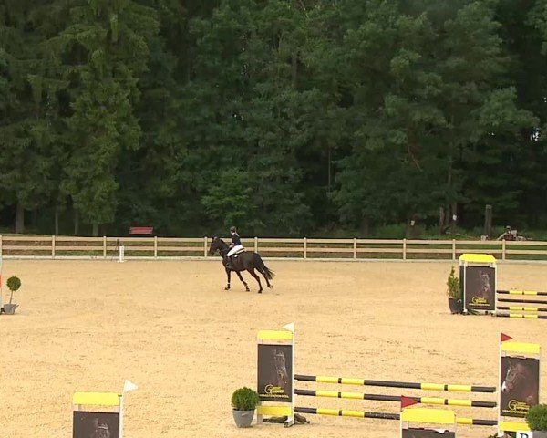 Reitturnier Tiefenhof/Opf. 2025