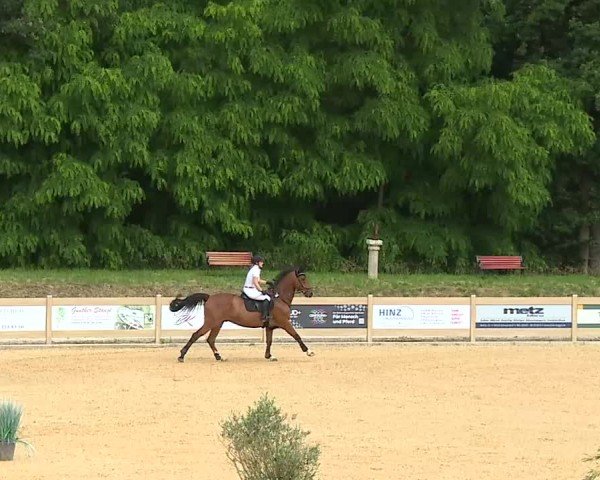 Reitturnier Tiefenhof/Opf. 2025