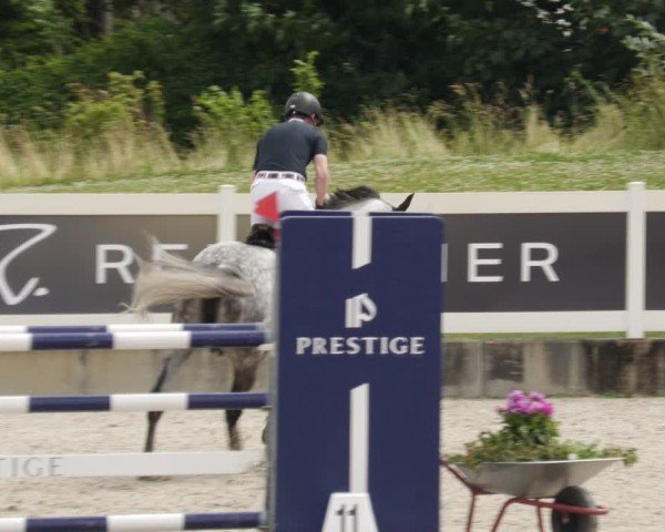 Reitturnier Babenhausen/Schw. 2025