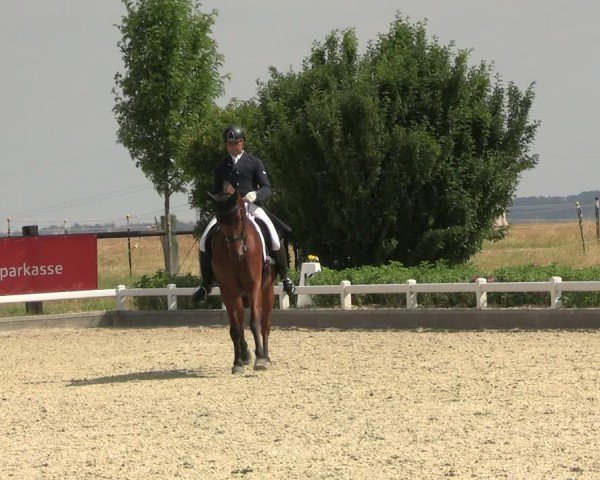 Reitturnier Dresden Gompitz 2025