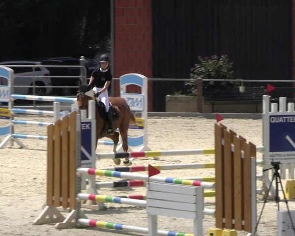 Reitturnier Uder, Reitanlage Kobold 2025