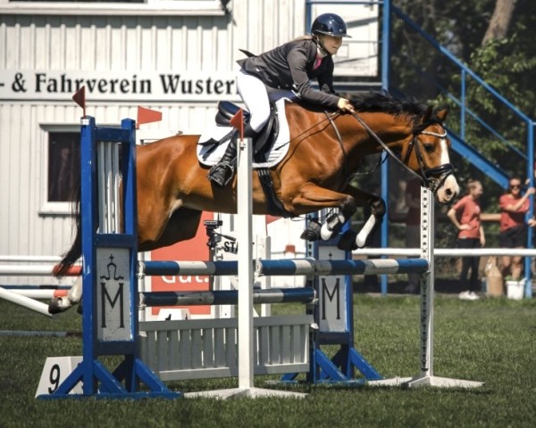 jumper Carlotta 396 (Mecklenburg, 2020, from Cashmere)