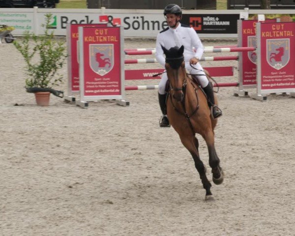 Reitturnier Babenhausen/Schw. 2025