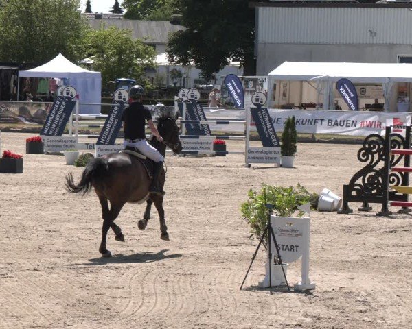Reitturnier Langenfeld 2025