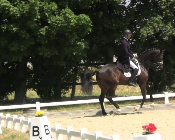 Reitturnier Dresden Gompitz 2025