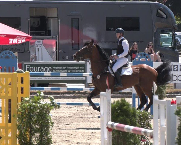 Reitturnier Langenfeld 2025