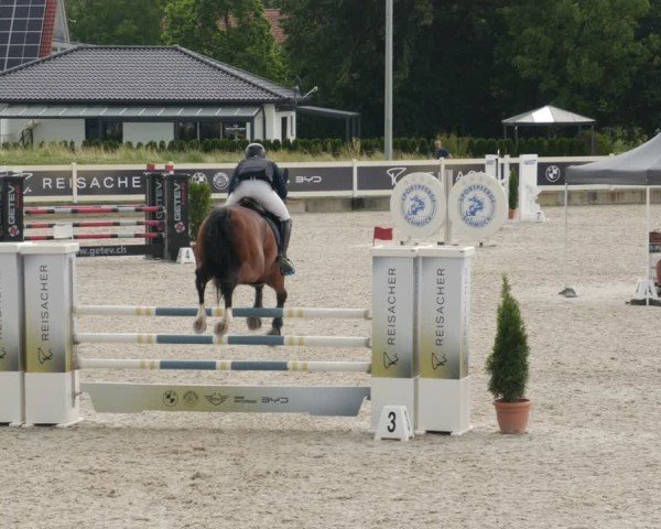 Reitturnier Babenhausen/Schw. 2025