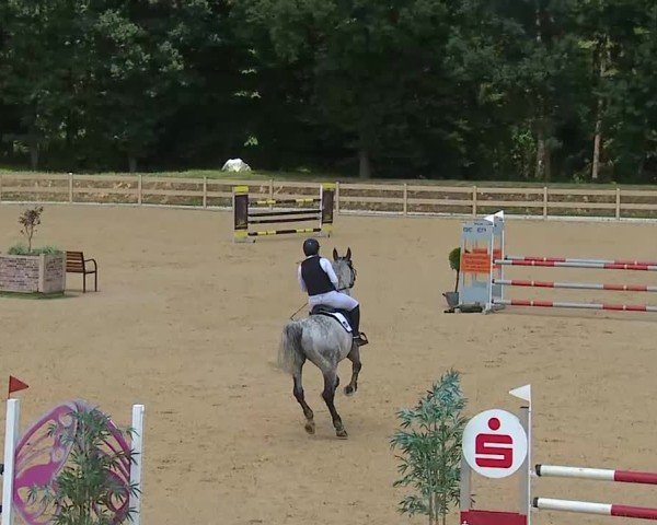 Reitturnier Tiefenhof/Opf. 2025