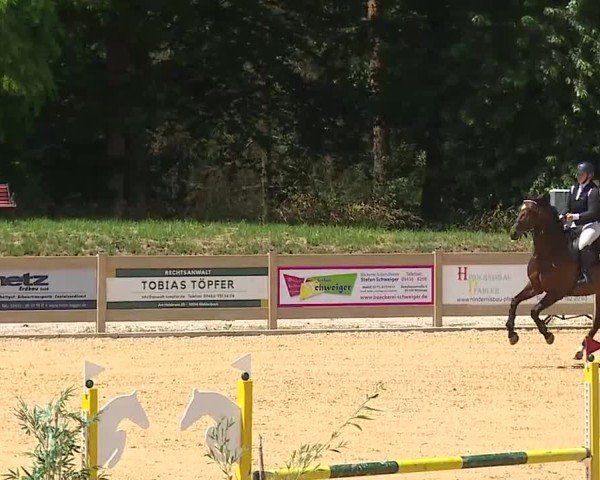 Reitturnier Tiefenhof/Opf. 2025