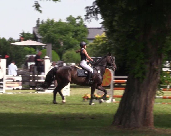 Reitturnier Schwittersdorf-Beesenstedt 2025