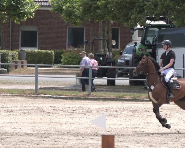 Reitturnier Langenfeld 2025