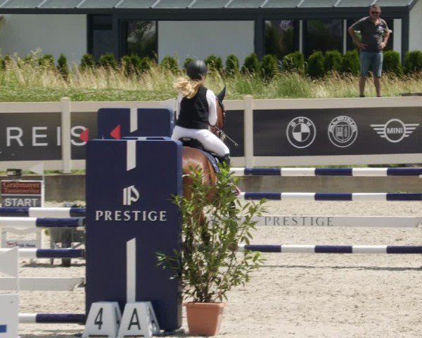 Reitturnier Babenhausen/Schw. 2025