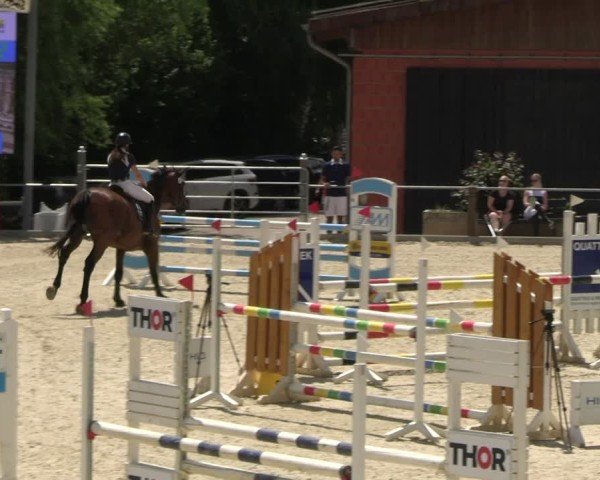 Reitturnier Uder, Reitanlage Kobold 2025