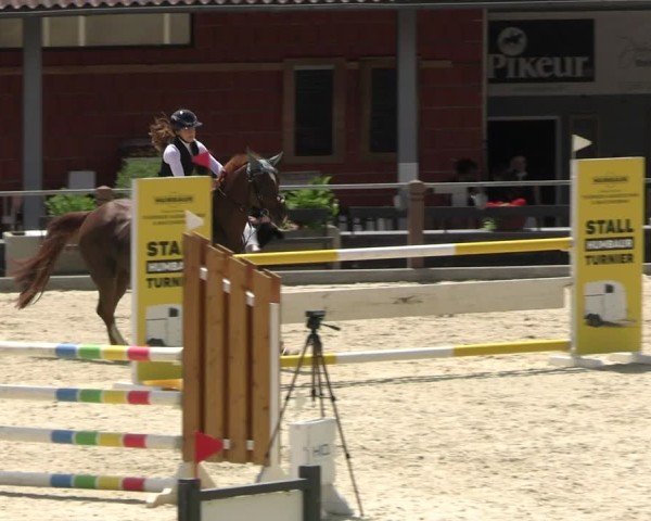 Reitturnier Uder, Reitanlage Kobold 2025