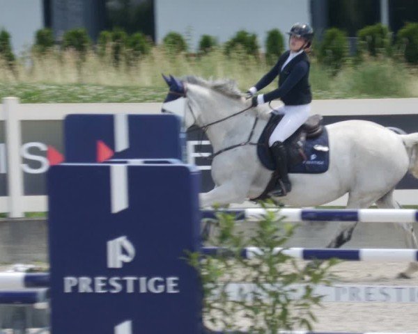 Reitturnier Babenhausen/Schw. 2025
