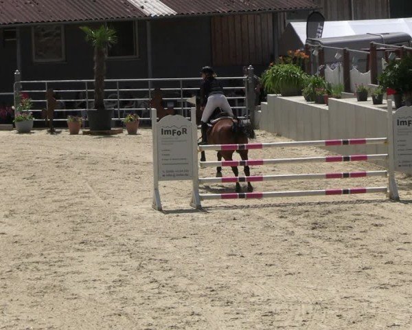 Reitturnier Uder, Reitanlage Kobold 2025