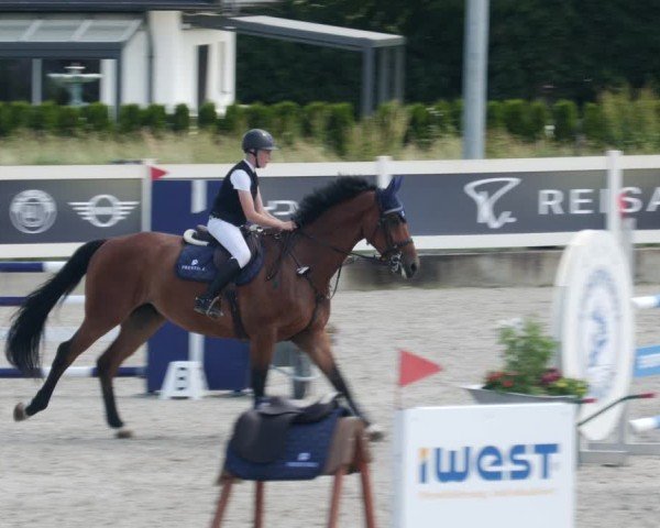 Reitturnier Babenhausen/Schw. 2025