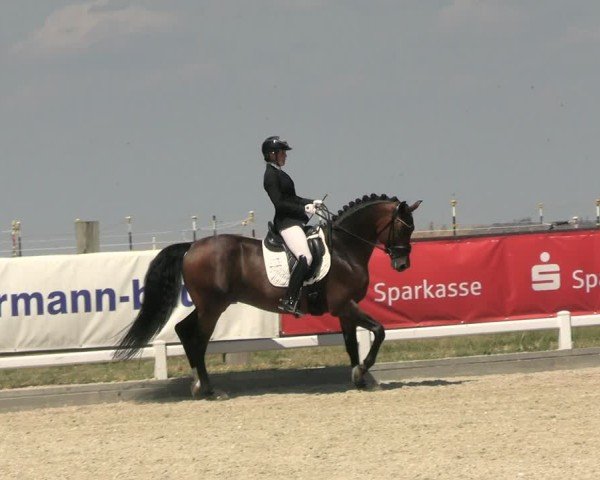 Reitturnier Dresden Gompitz 2025