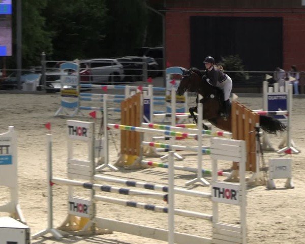 Reitturnier Uder, Reitanlage Kobold 2025