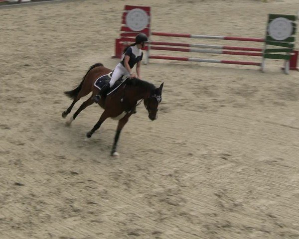 Reitturnier Uder, Reitanlage Kobold 2025