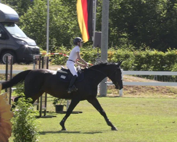 Reitturnier Aach 2025