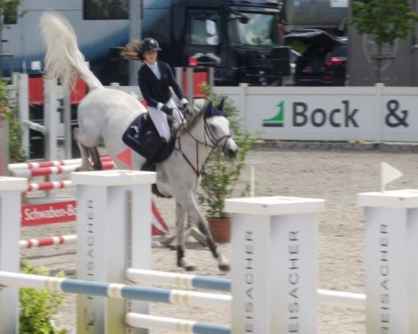 Reitturnier Babenhausen/Schw. 2025