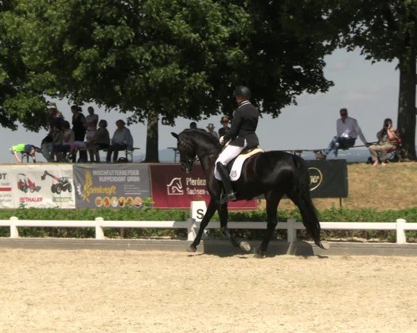 Reitturnier Dresden Gompitz 2025