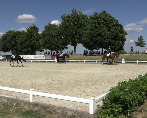 Reitturnier Dresden Gompitz 2025