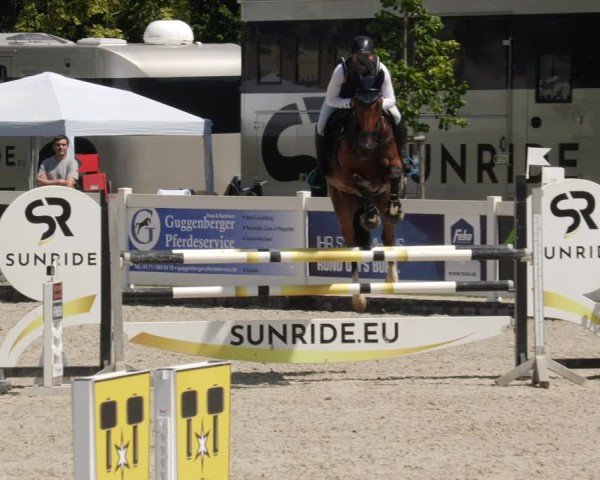 Reitturnier Babenhausen/Schw. 2025