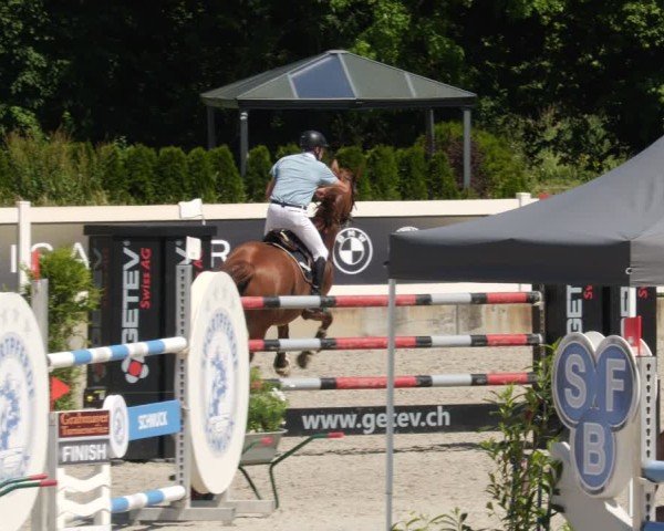 Reitturnier Babenhausen/Schw. 2025
